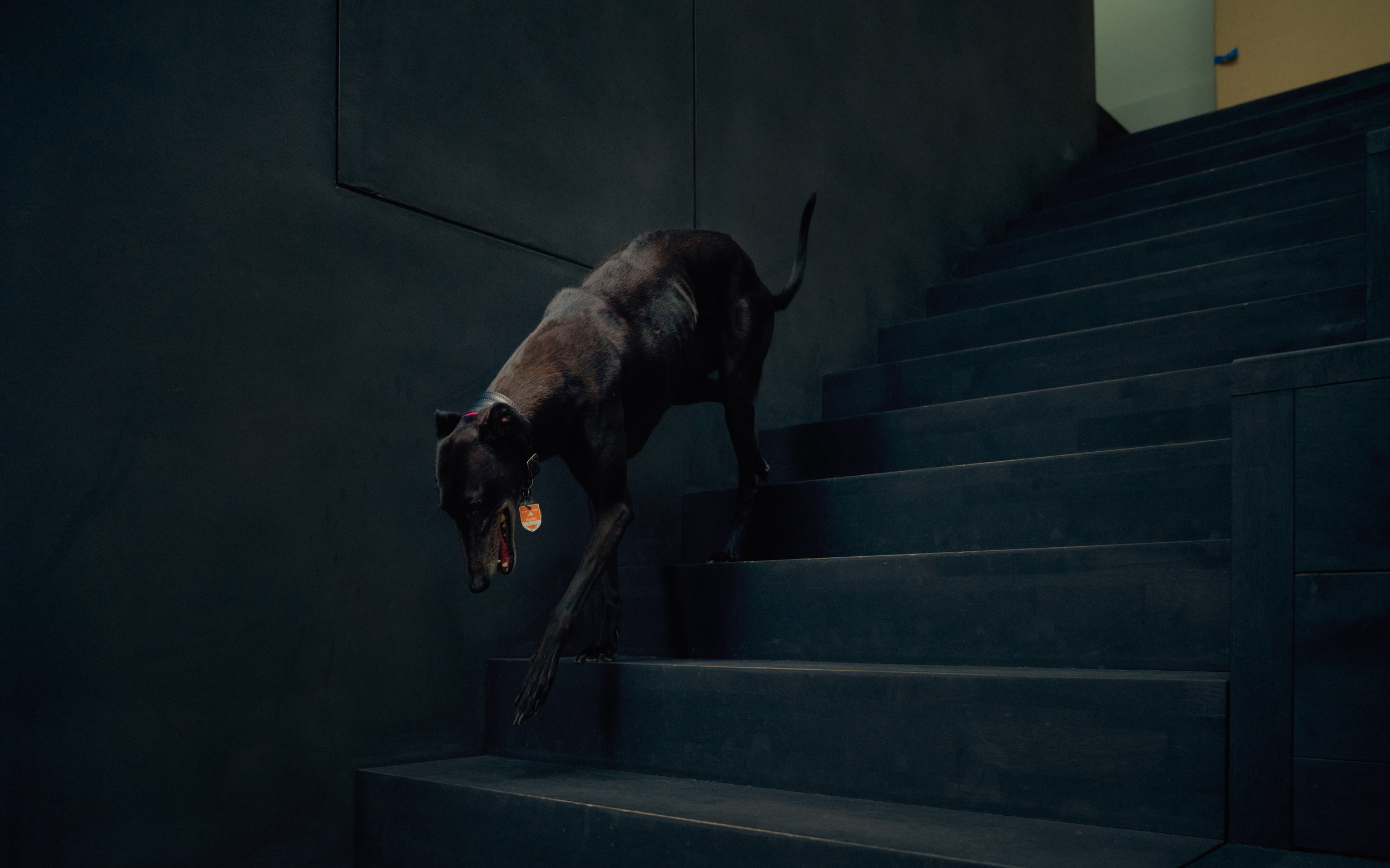 vividgrey_HANISCH_JorindeVoigt_3385