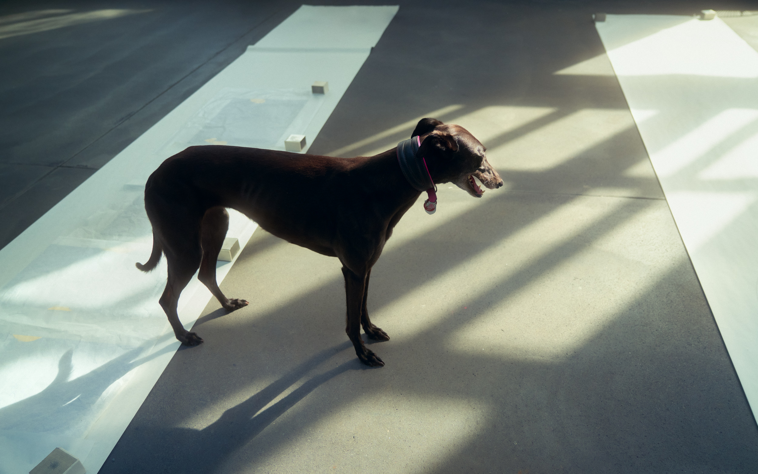 vividgrey_HANISCH_JorindeVoigt_4068