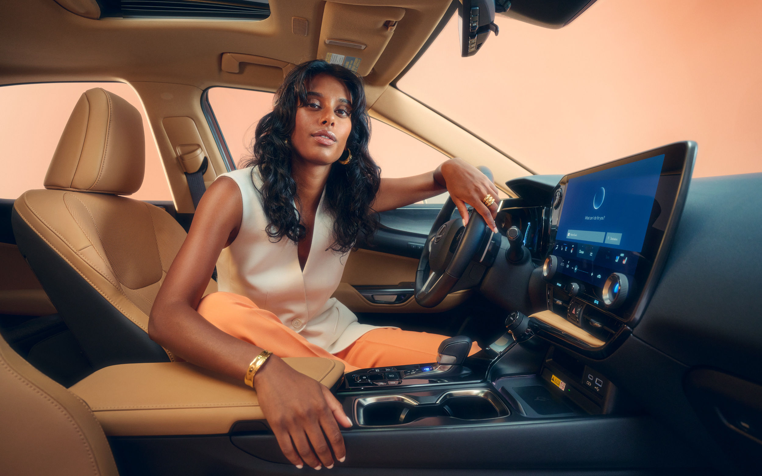 vividgrey-CARLSON_LEXUS_CA_05