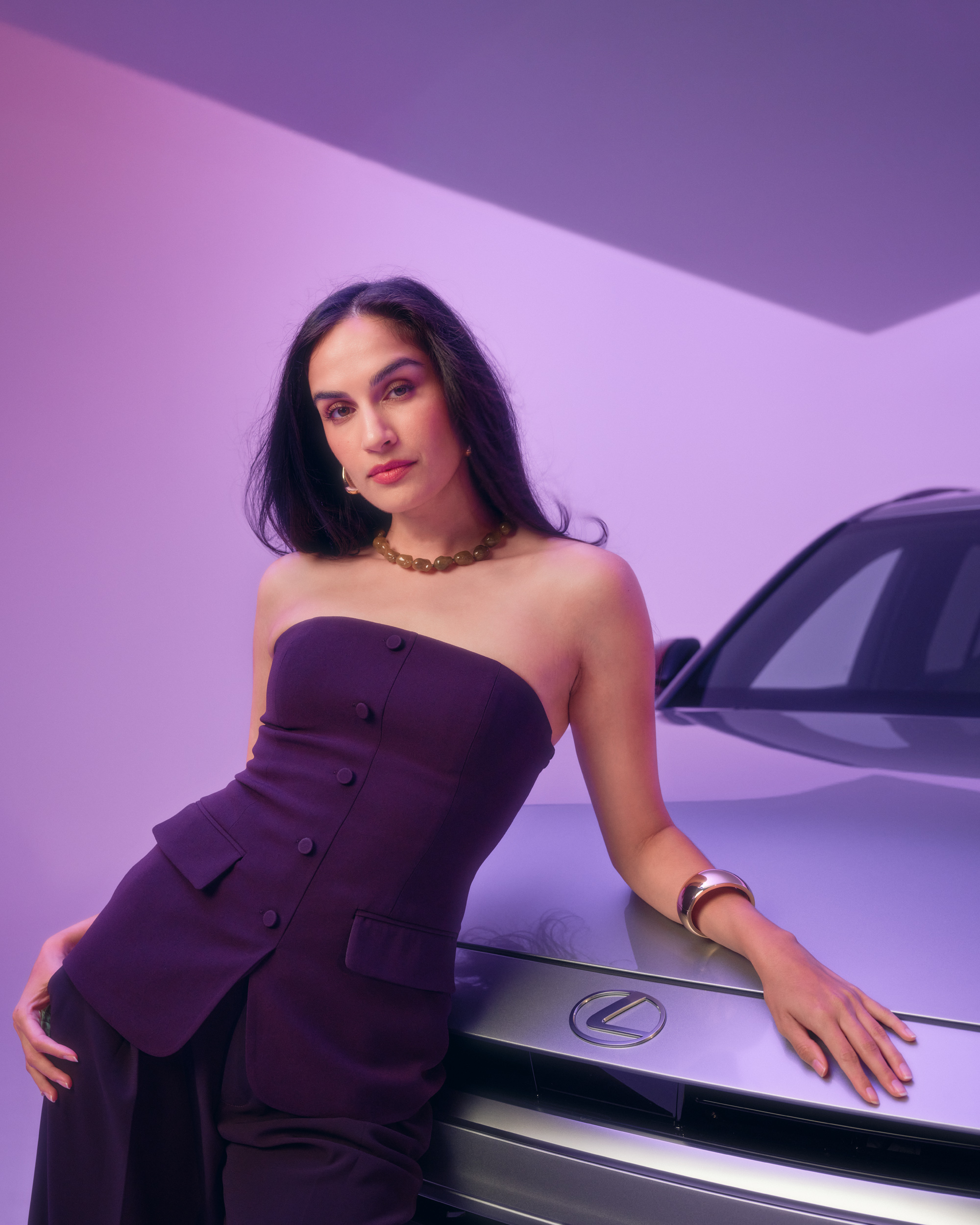 vividgrey-CARLSON_LEXUS_CA_07