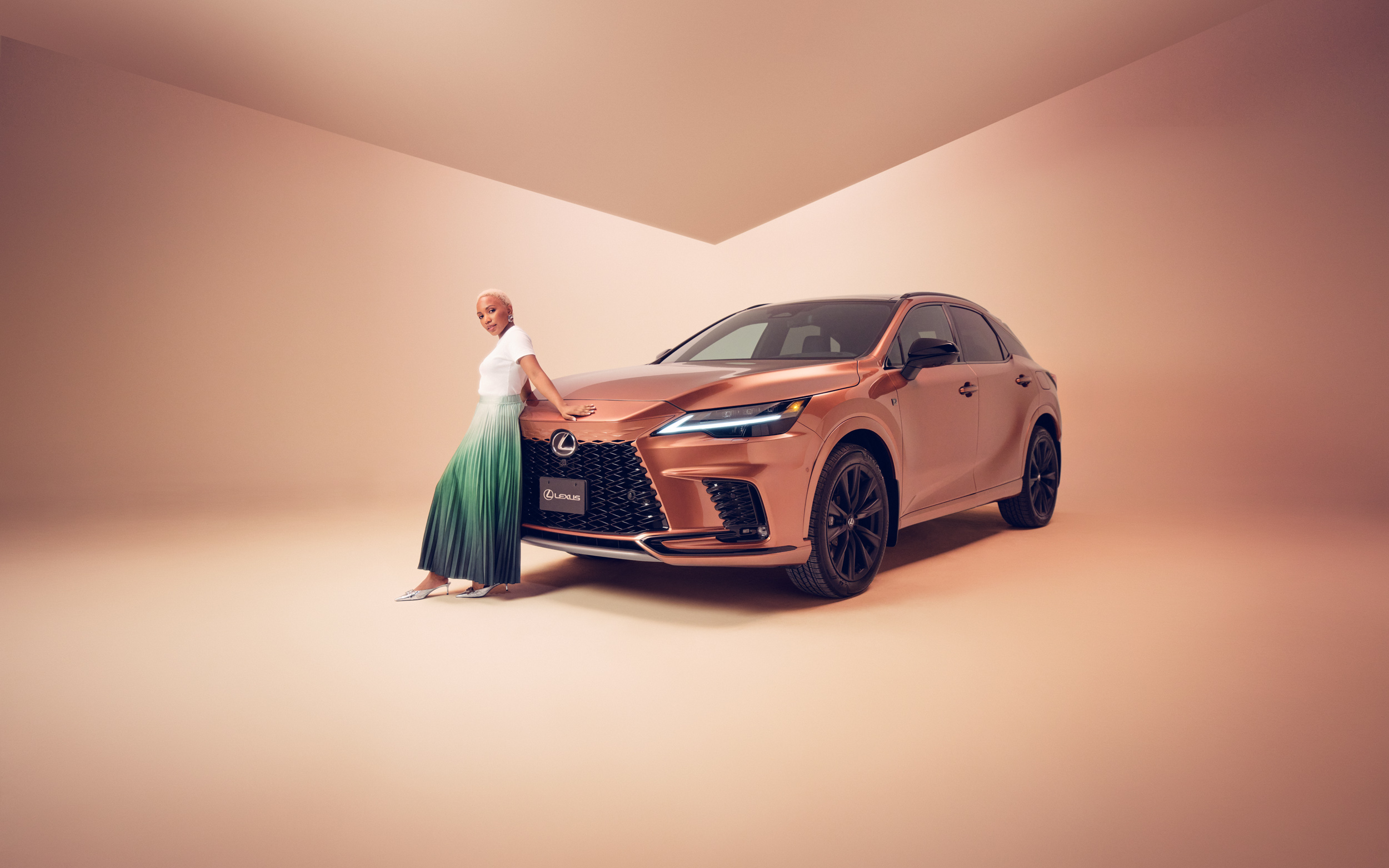 vividgrey-CARLSON_LEXUS_CA_14