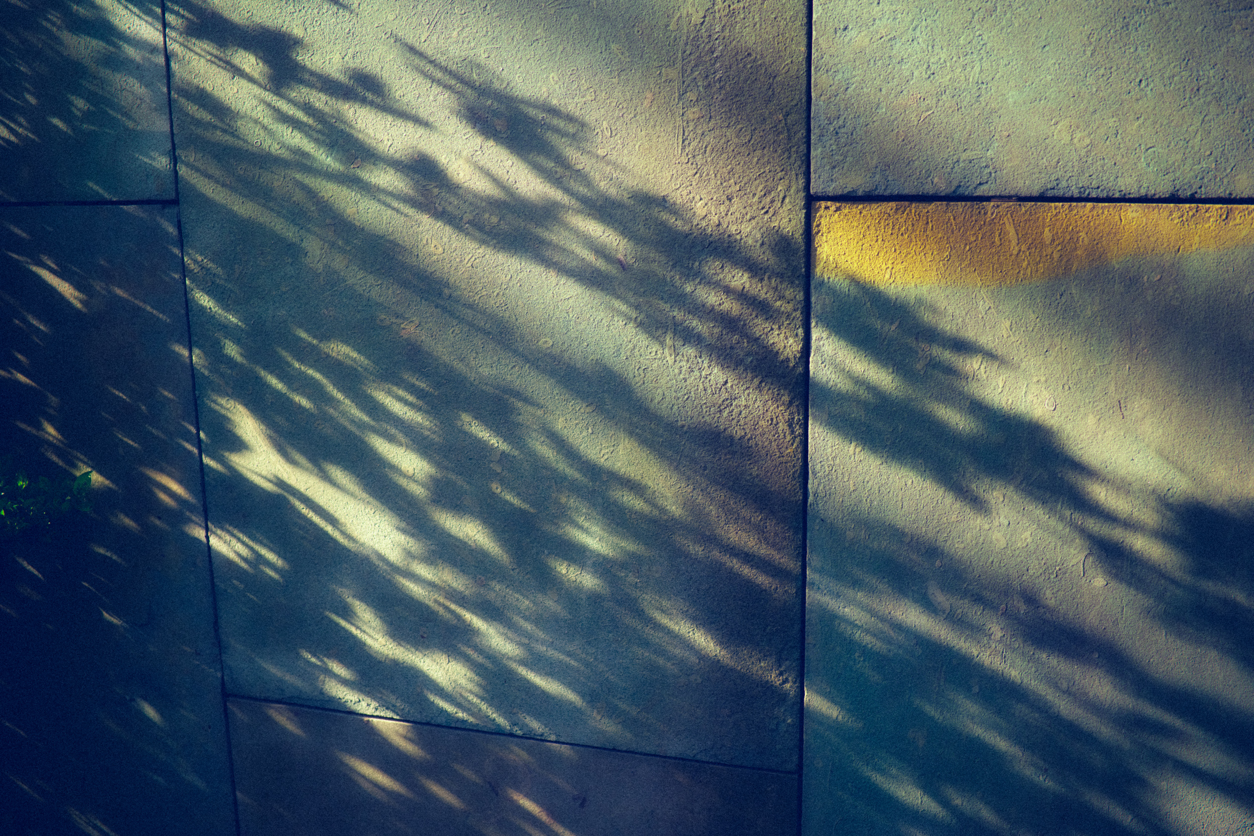 vividgrey_ANNTHEO_Porsche_3712