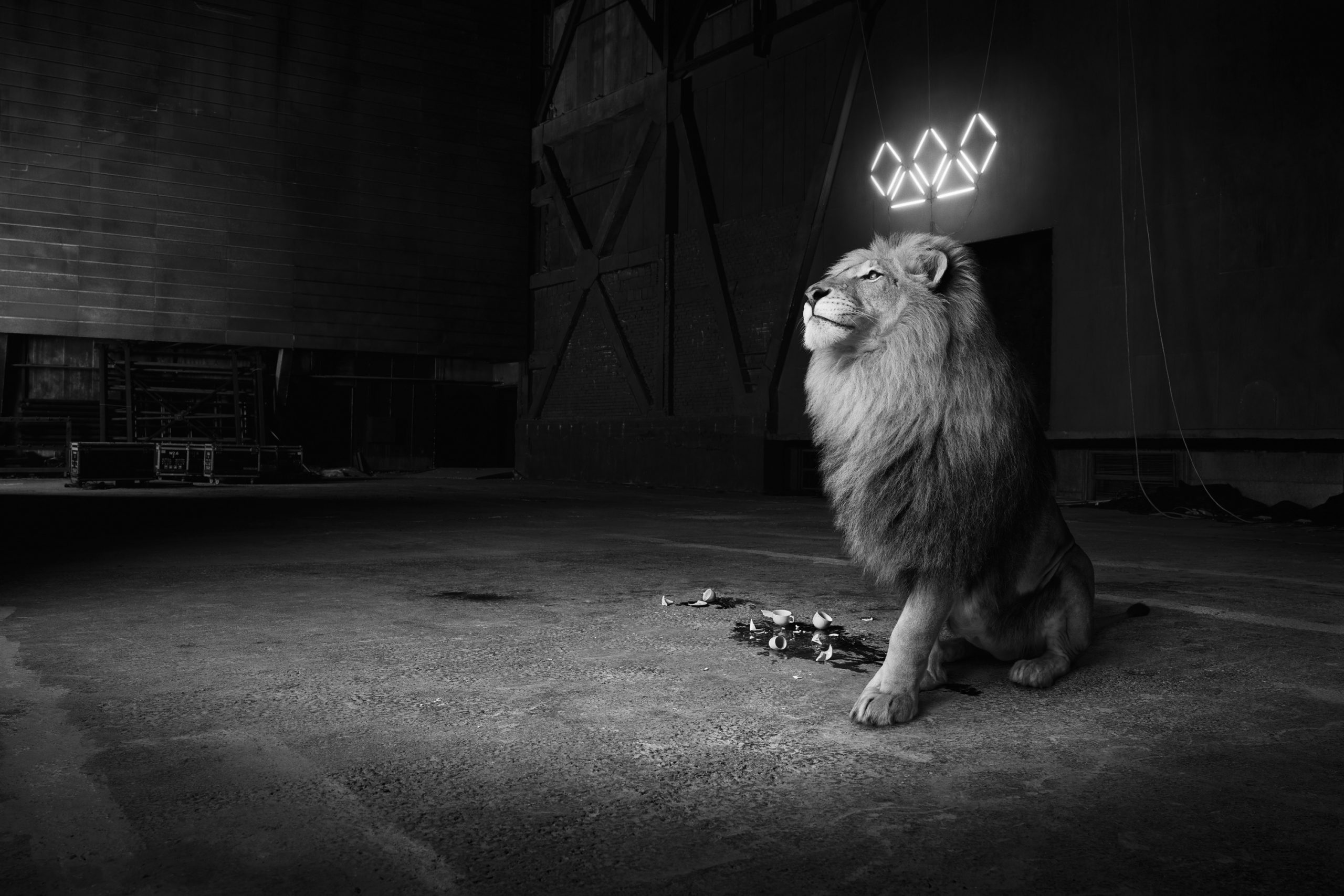 vividgrey_BORGWARDT_CafeRoyal_004