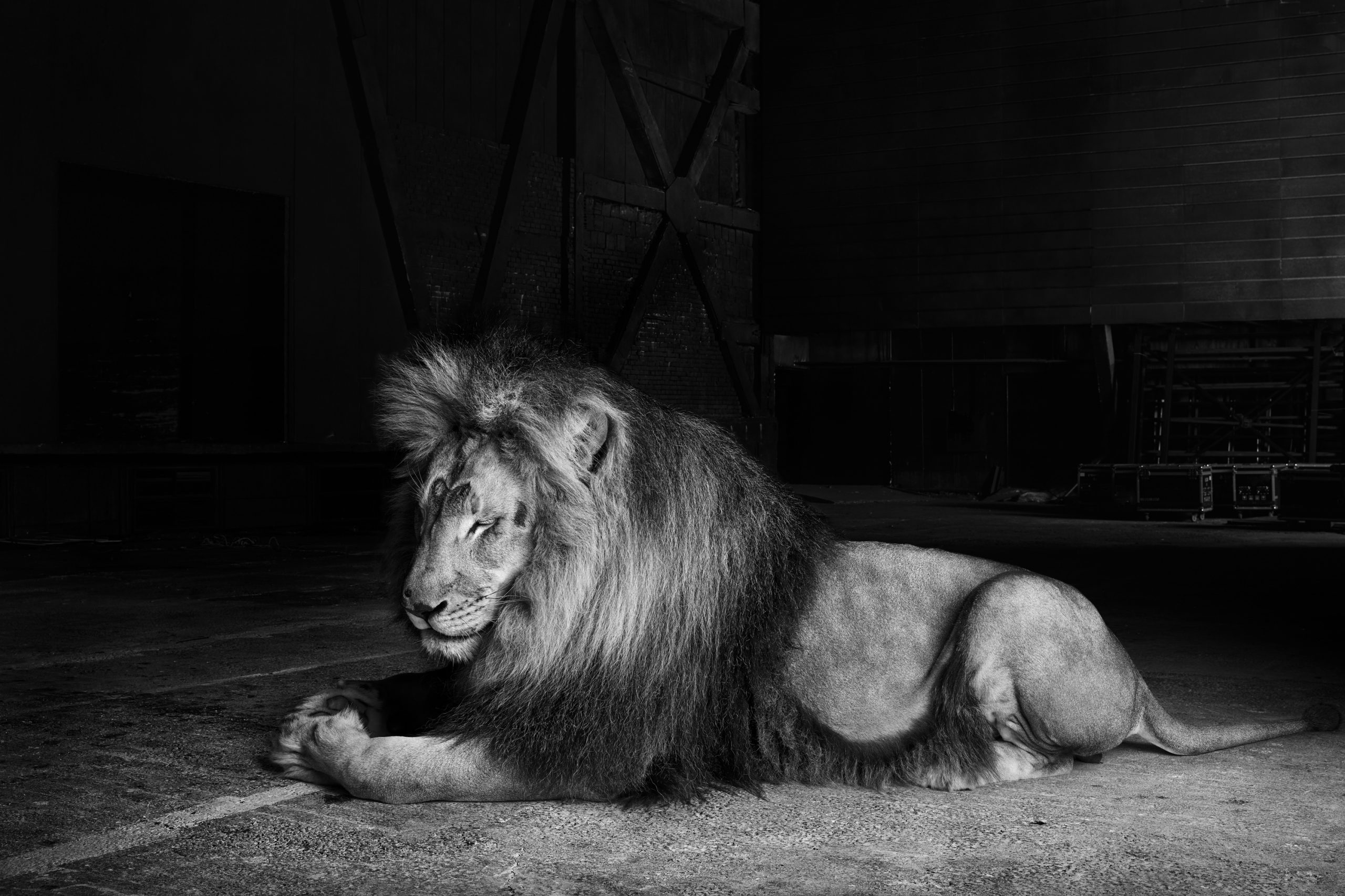 vividgrey_BORGWARDT_CafeRoyal_007