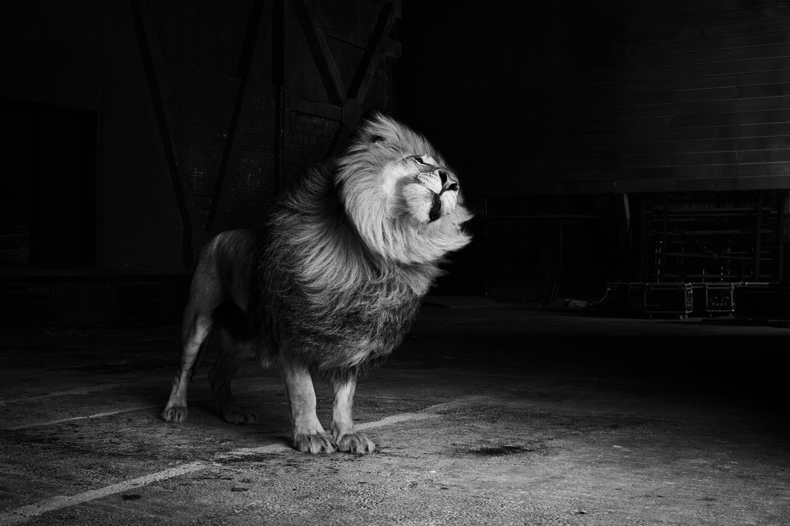 vividgrey_BORGWARDT_CafeRoyal_009