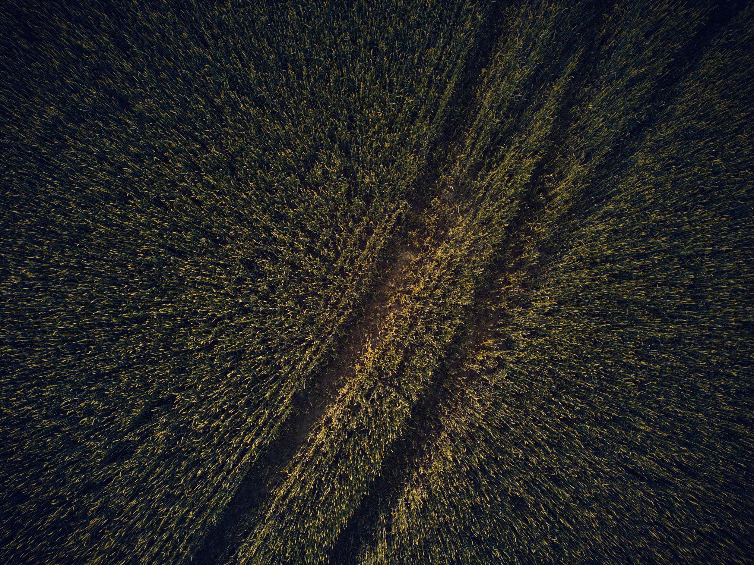 vividgrey_HANISCH_Hyundai_Ioniq_I73