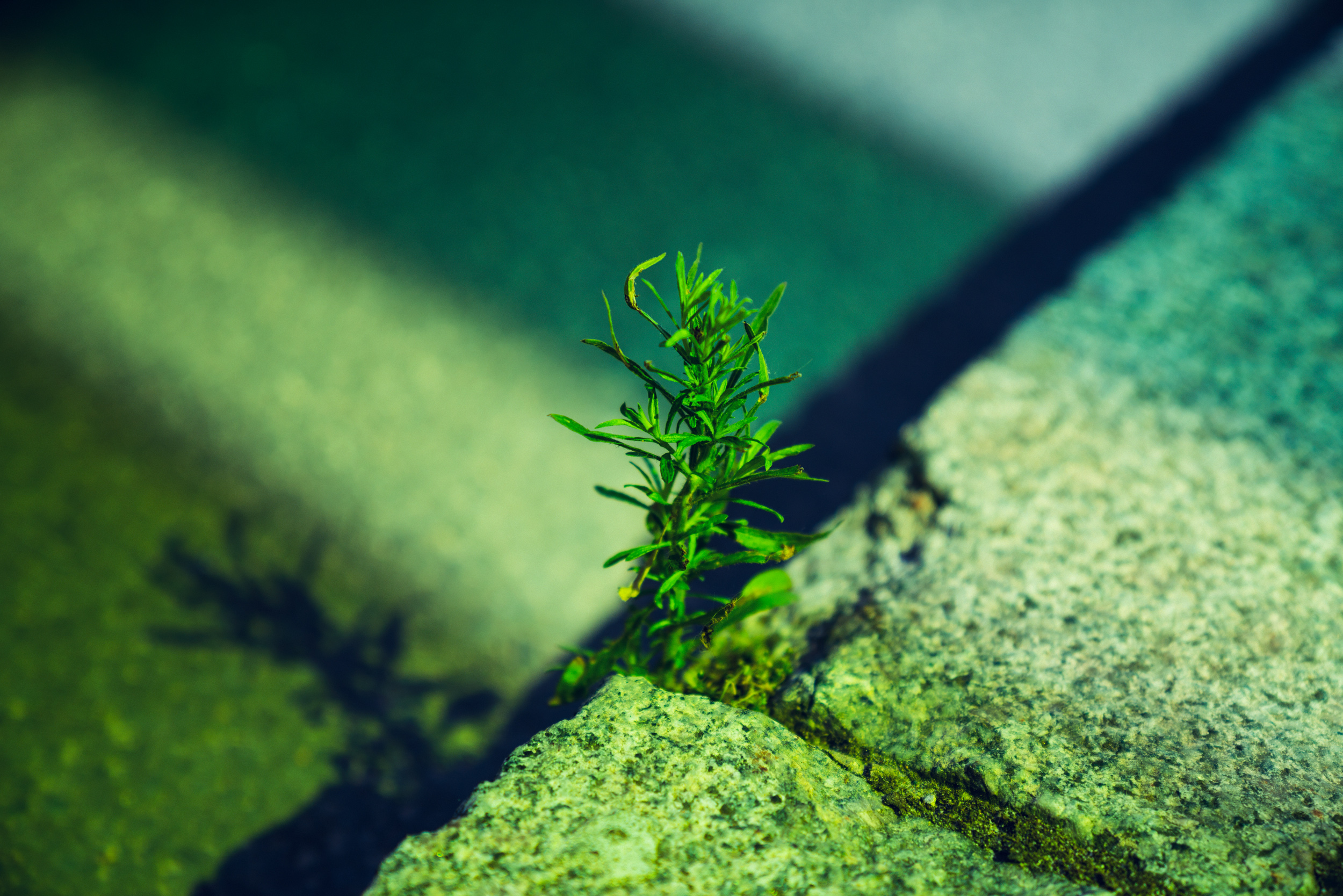 vividgrey_HANISCH_MB_E-C_MHA4272