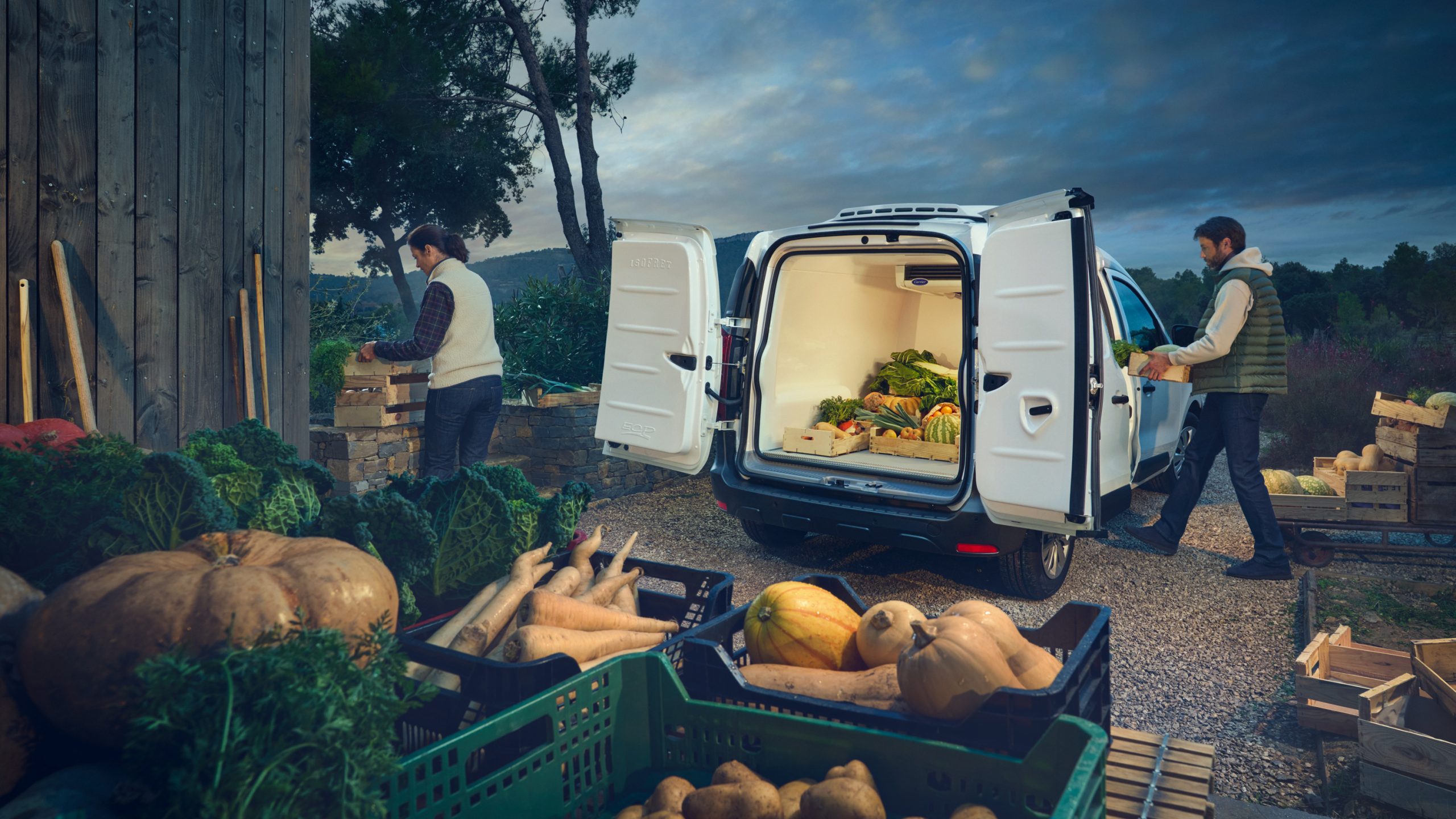 vividgrey_HANISCH_Renault_FJK039