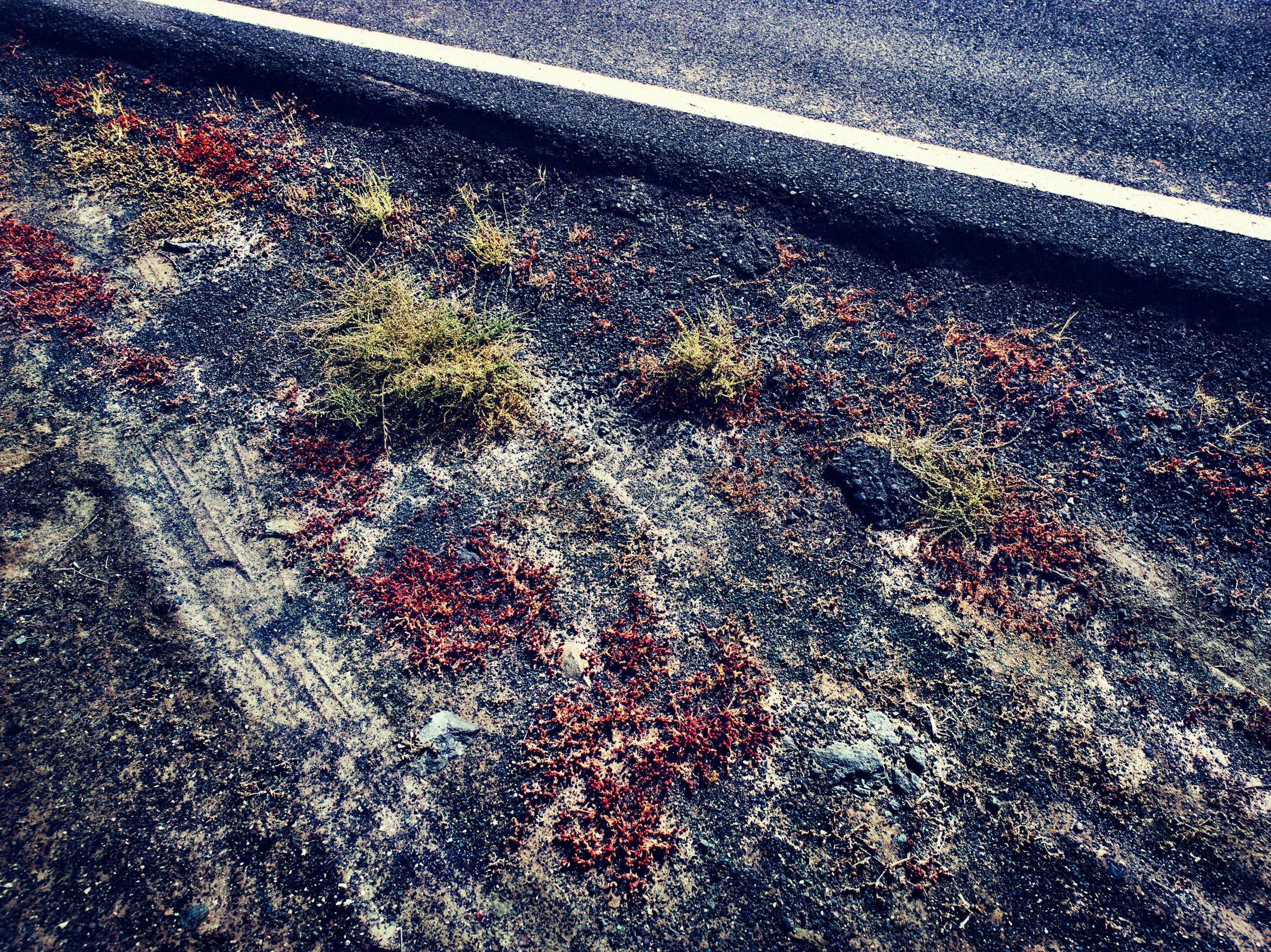 vividgrey_Hempel_Fuerte_10072_03