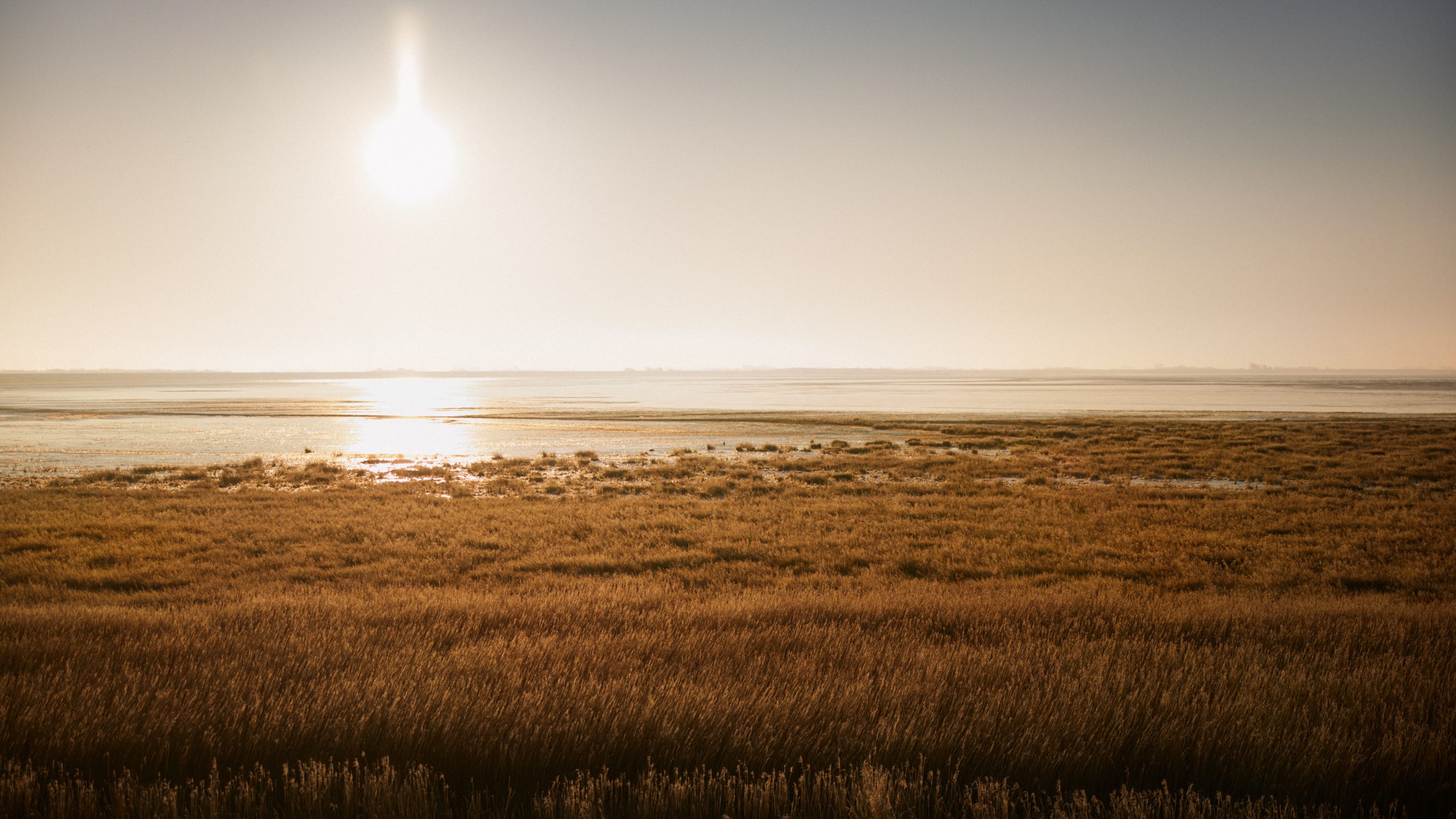 vividgrey_KLINKOW_LUCID_02