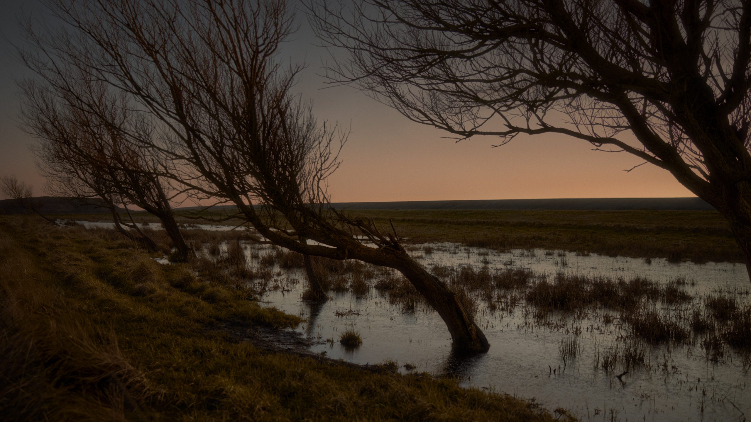 vividgrey_KLINKOW_LUCID_09