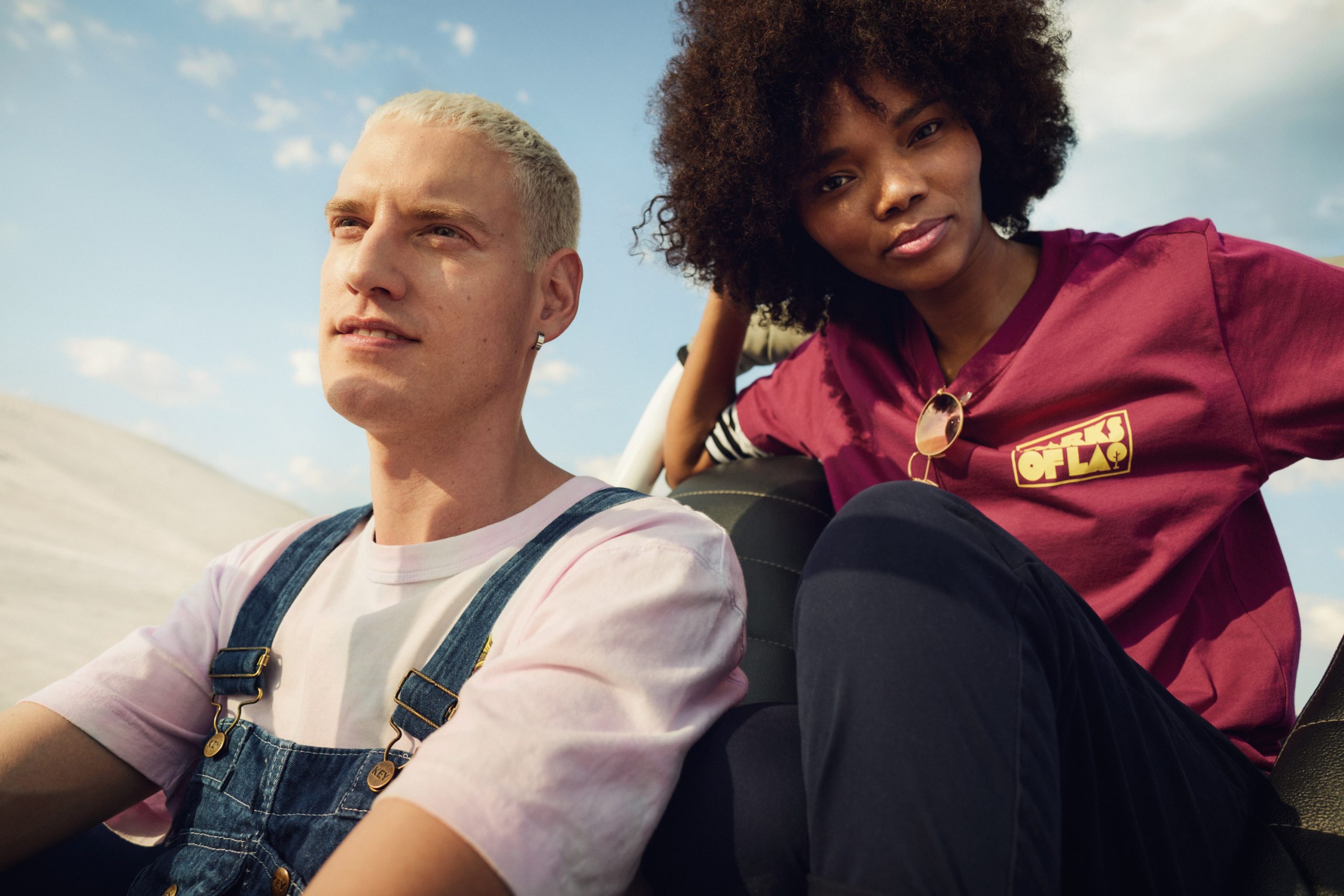 vividgrey_KOCH_Dunes_002