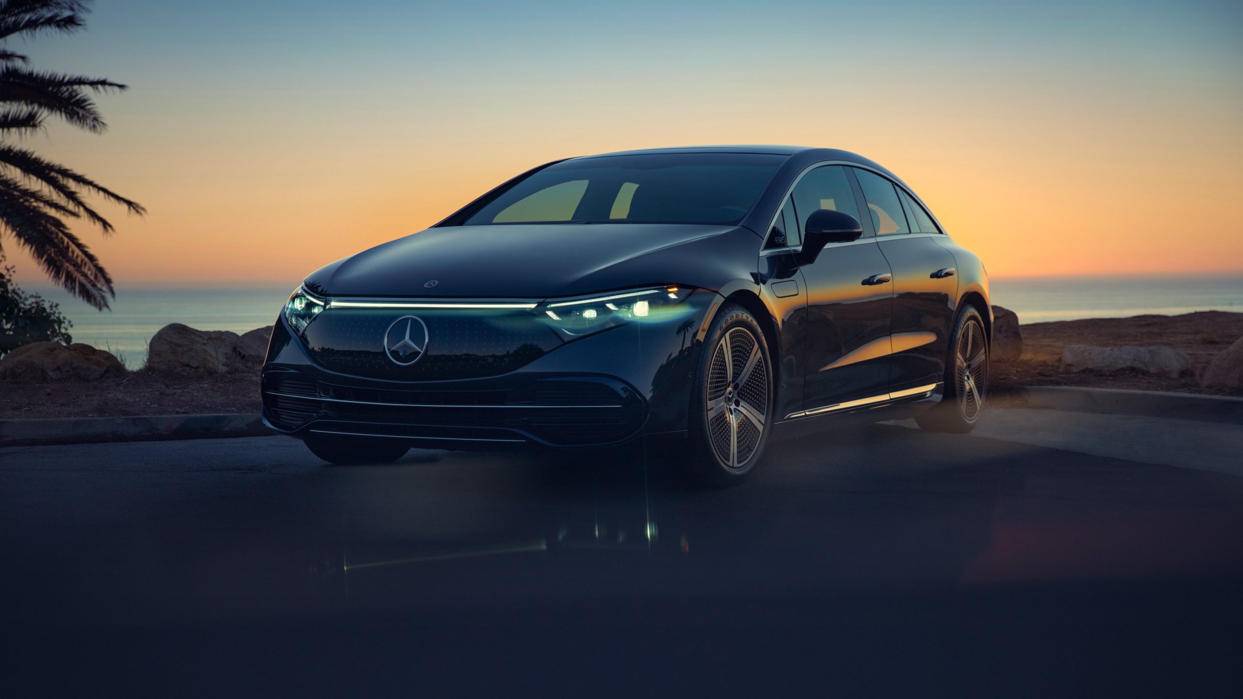 vividgrey_theAutofocus_EQS580_012