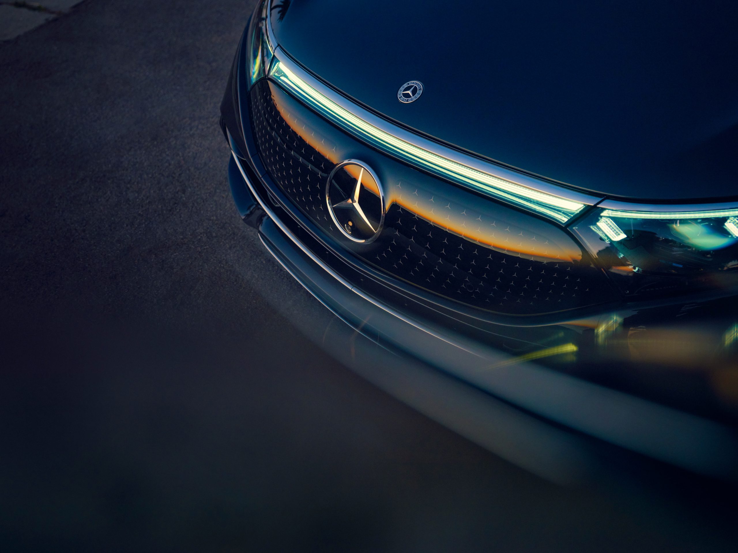 vividgrey_theAutofocus_EQS580_014